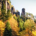 Am Polenztalwächter liegt der Herbst in den letzten Zügen