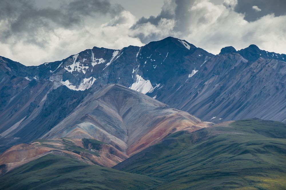 Am Polychrome Pass  Denali   DSC_0084