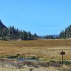 Am Poudre Lake am Milner Pass...