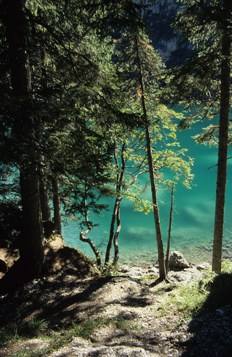 Am Pragser Wildsee