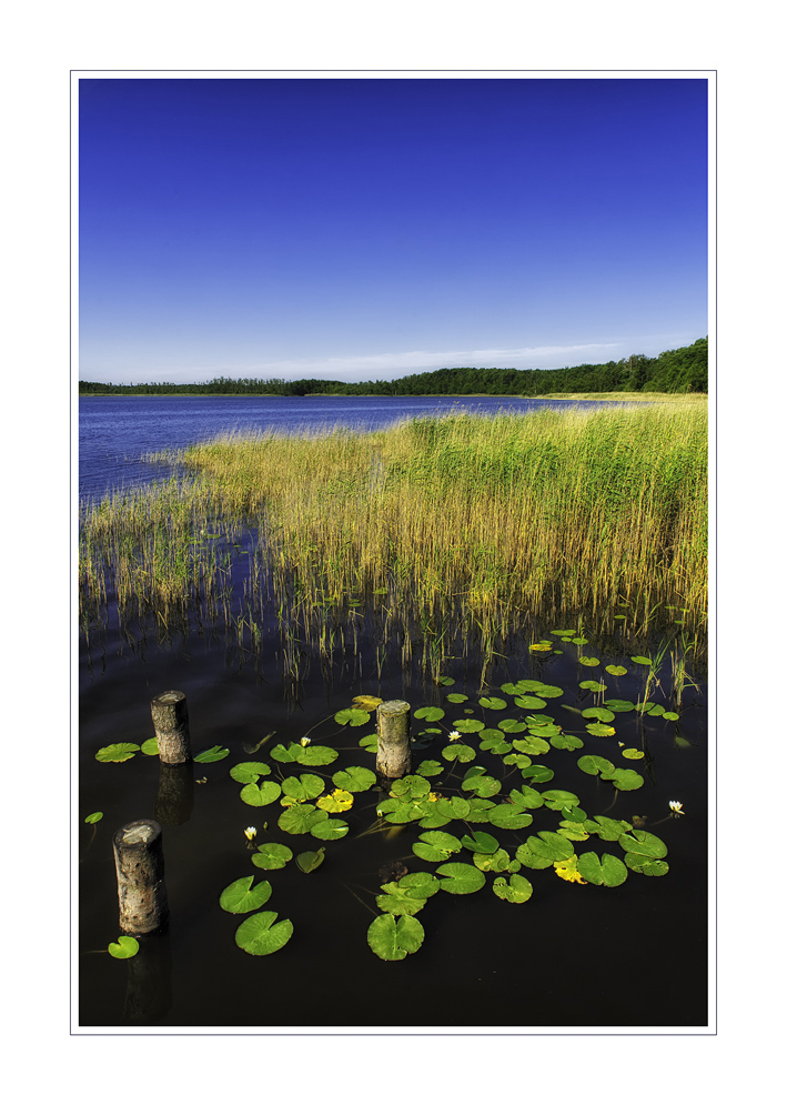 Am Priesterbäker See