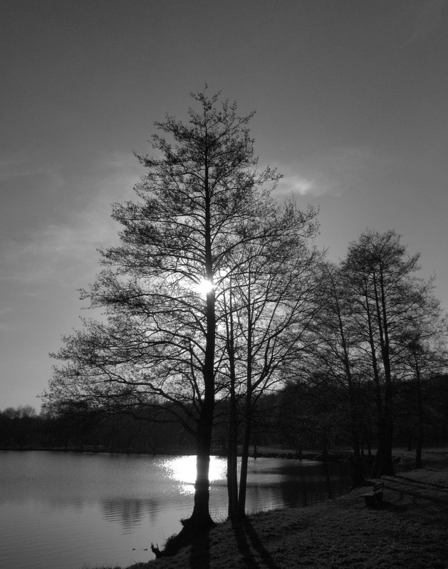 Am Pröbstingsee