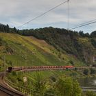 Am Pündericher Hangviadukt (1)