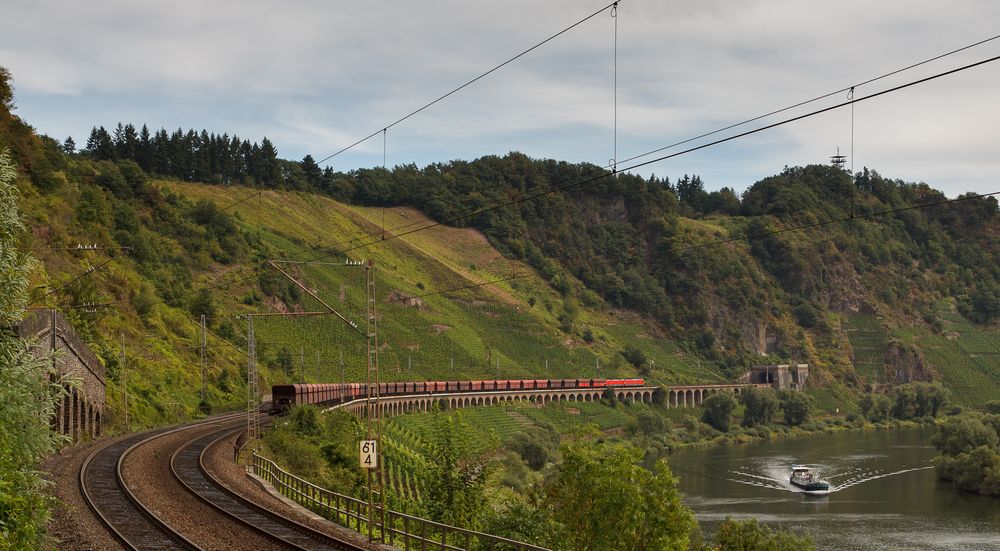 Am Pündericher Hangviadukt (1)