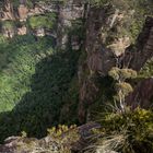 Am Pulpit Rock