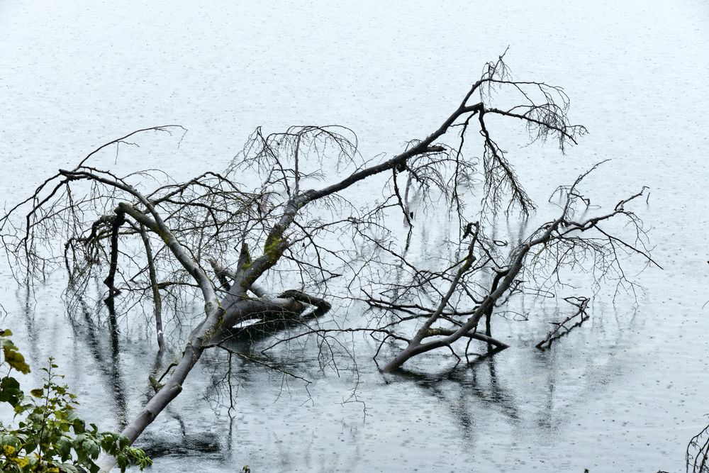 Am Pulvermaa rim Regen, Eifel