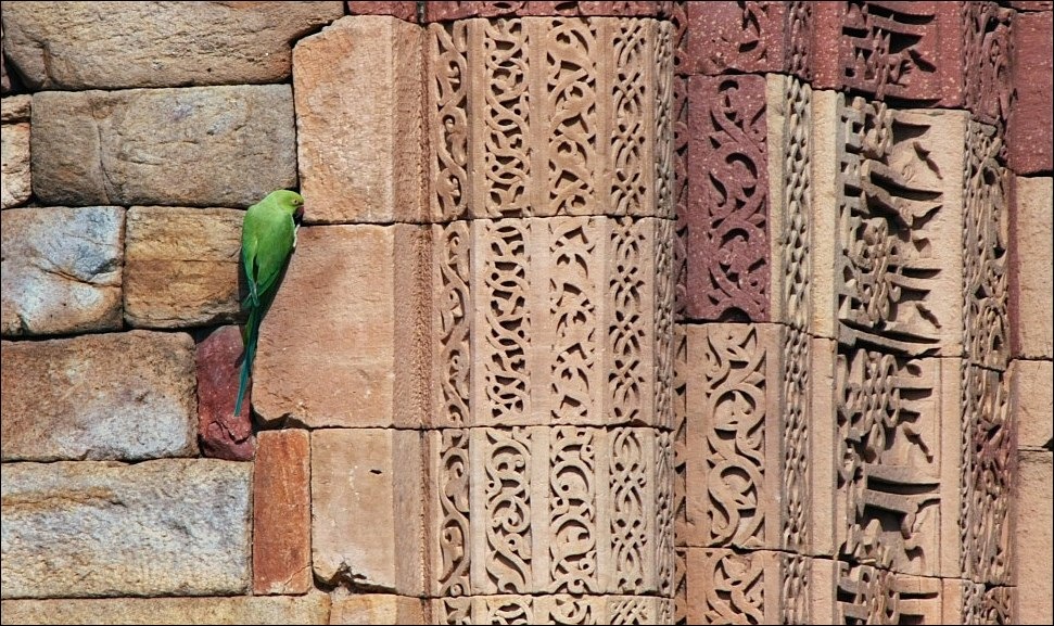 Am Qutab Minar