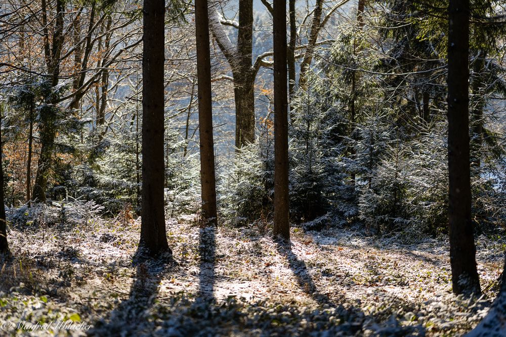 Am Rabenberg ...