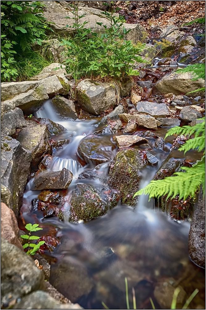 Am Radauer Wasserfall