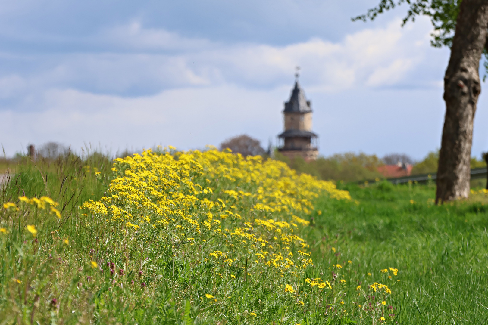 Am Radweg