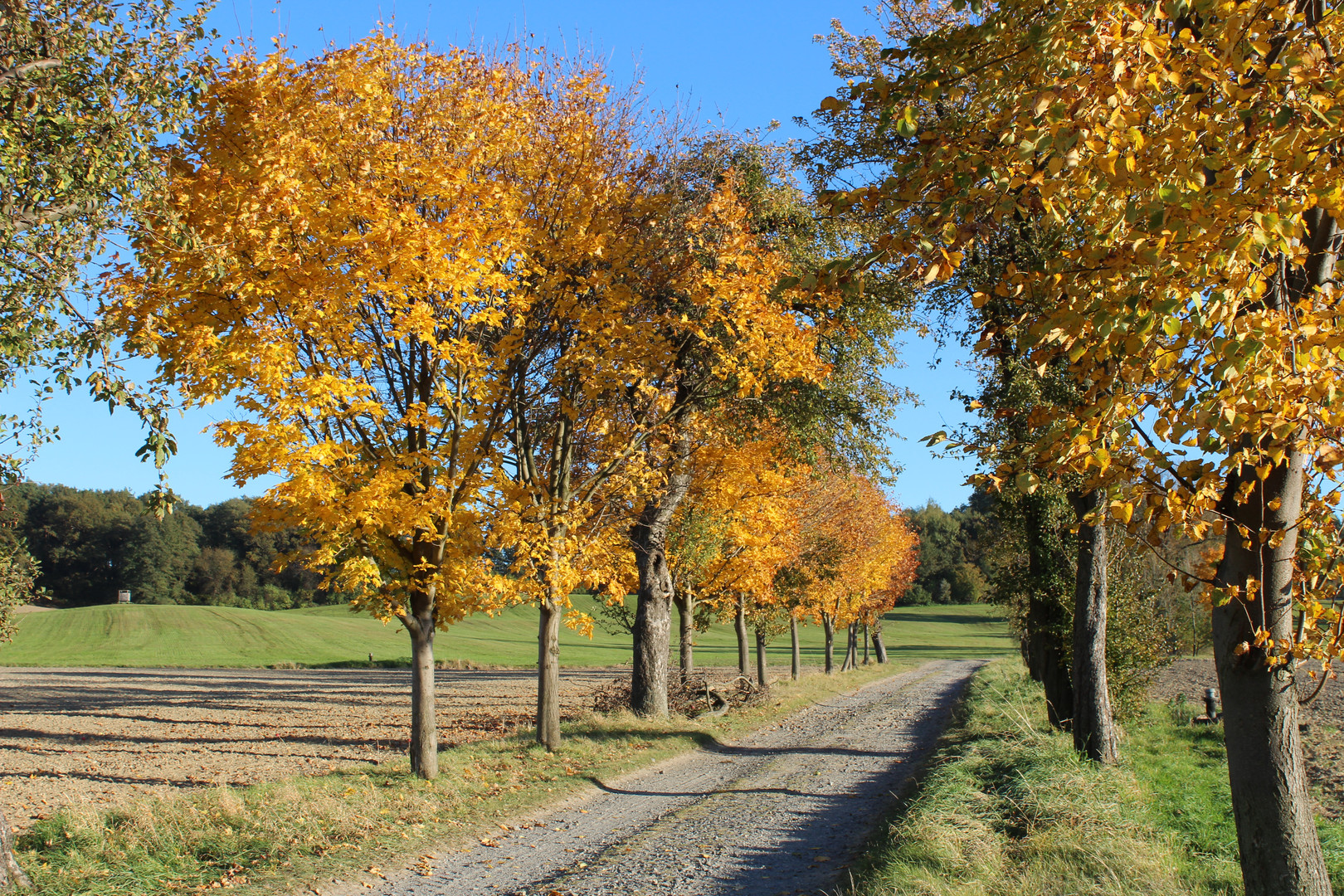 Am Radweg