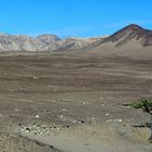 Am Rand der Atacamawüste 3