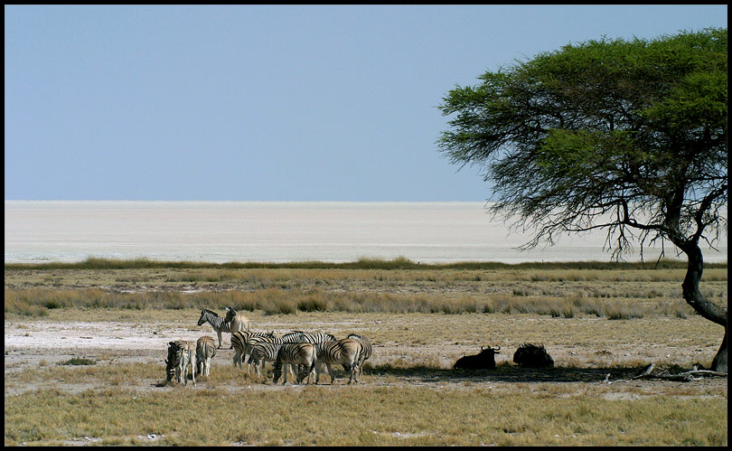 Am Rand der Etosha Pfanne