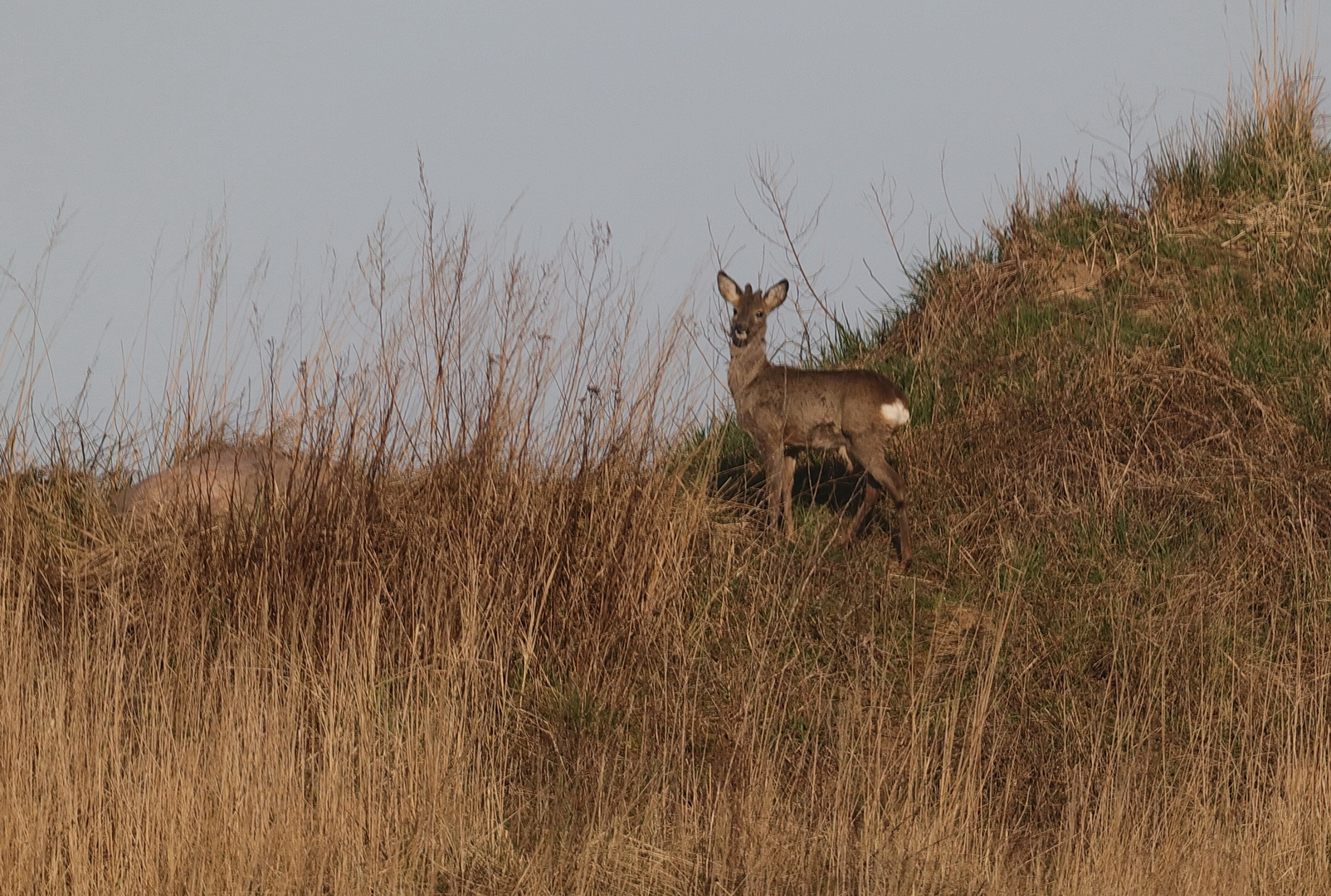 Am Rand der Kiesgrube 2