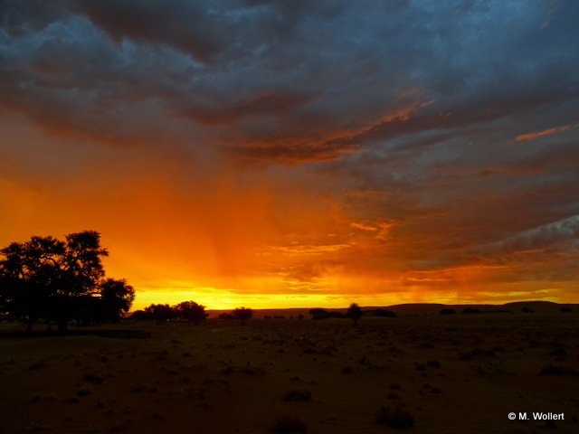 Am Rand der Namib