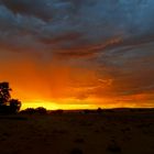 Am Rand der Namib