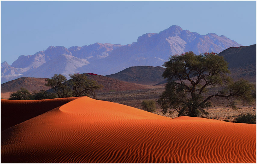 Am Rand der Namib - Reload