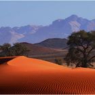 Am Rand der Namib - Reload