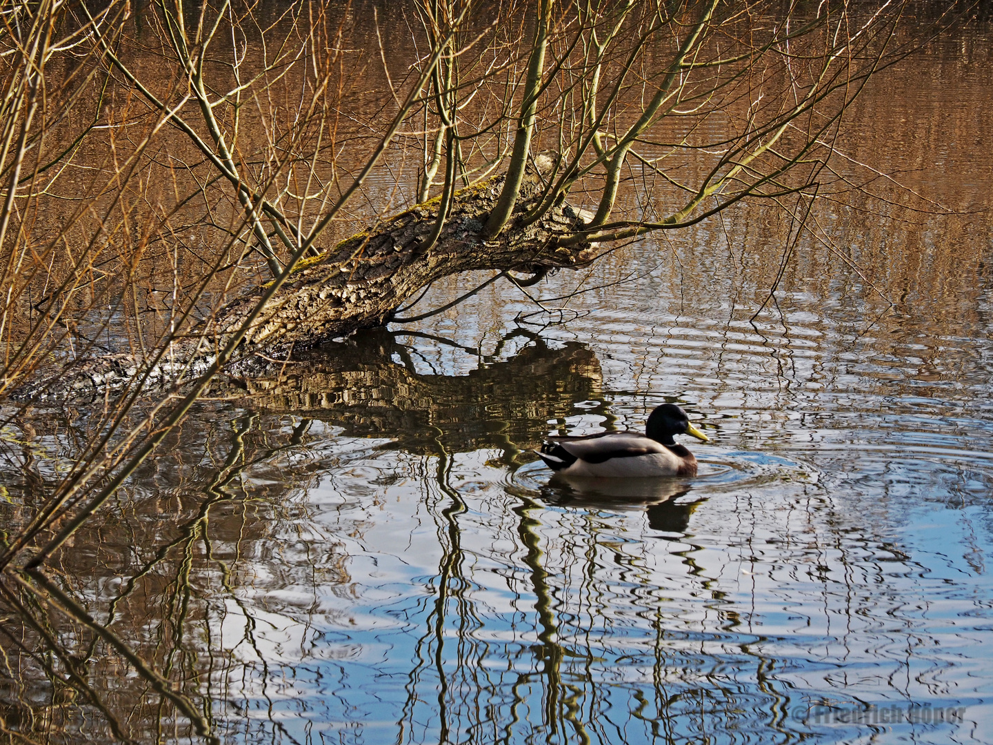 Am Rand der Schwentine