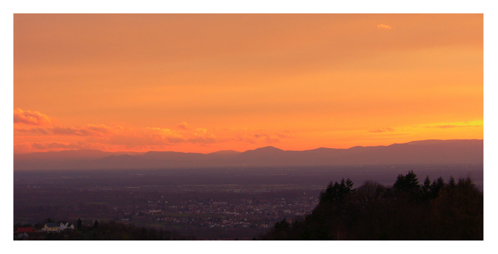 Am Rand des Schwarzwald! II