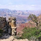 Am Rand vom Grand Canyon