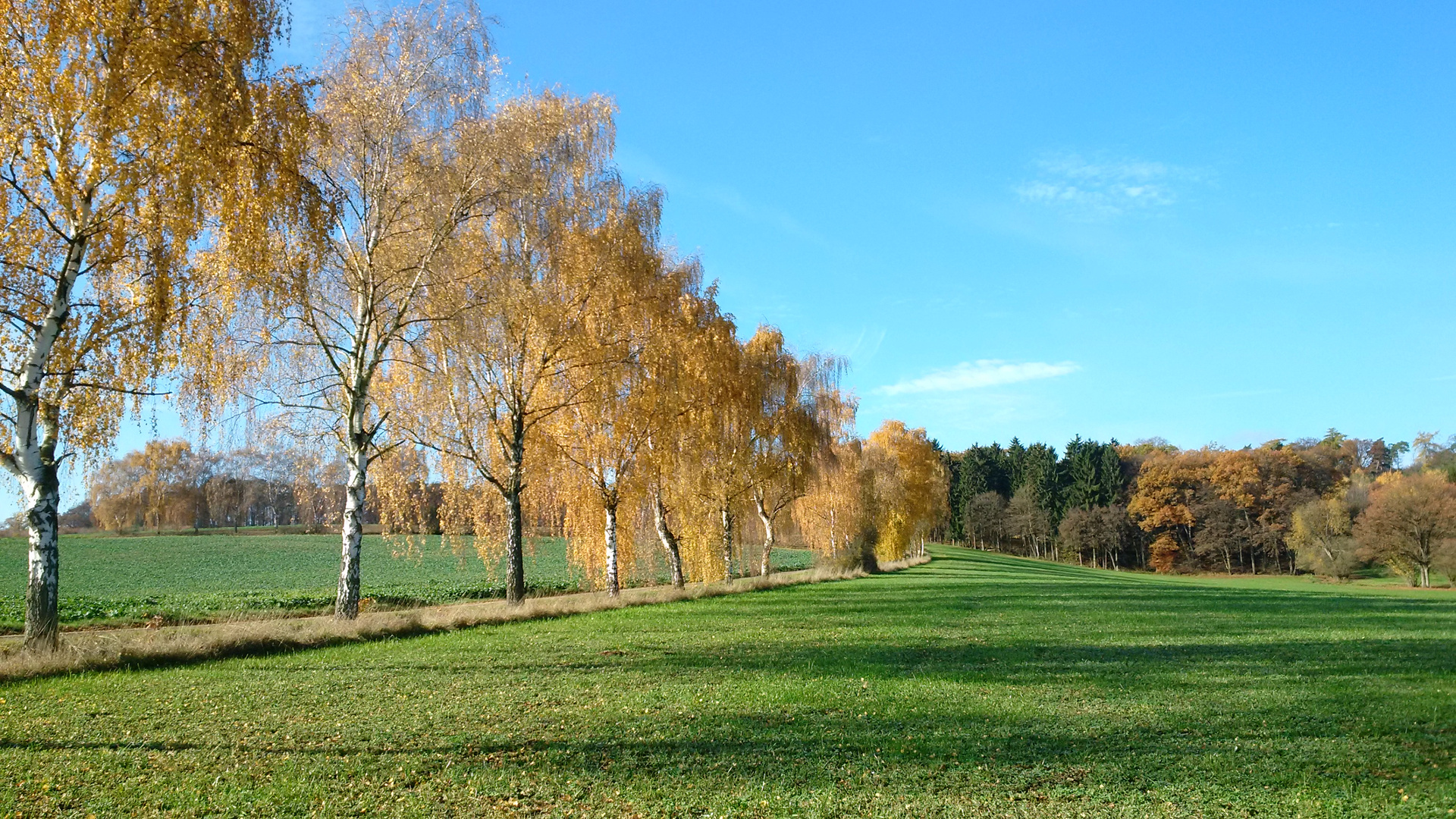 Am Rand vom Westerwald