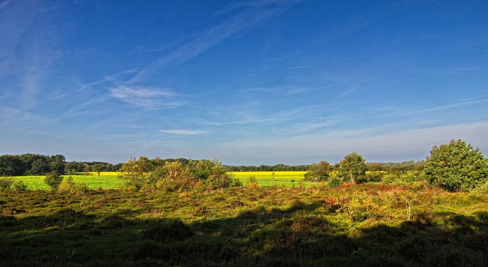 Am Rande der Heide II