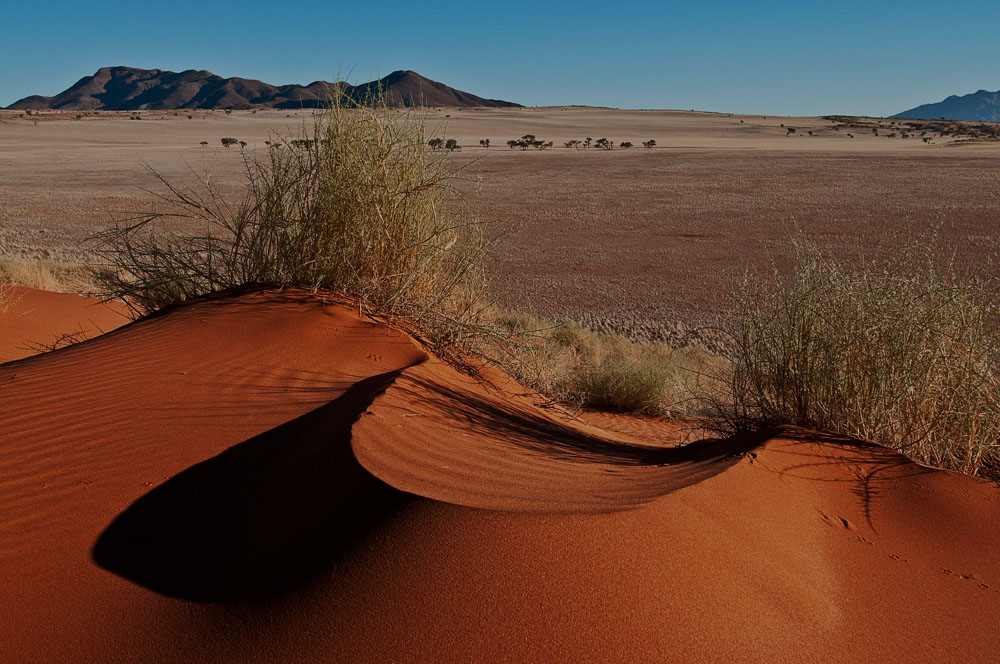 Am Rande der Namib...