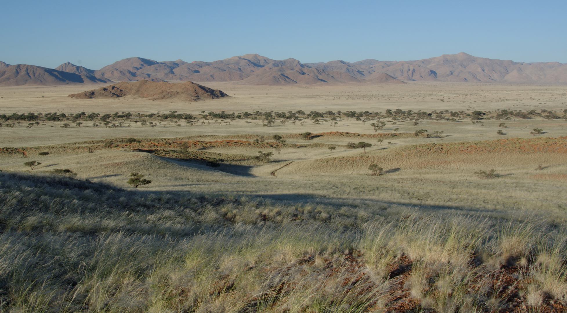 Am Rande der Namib