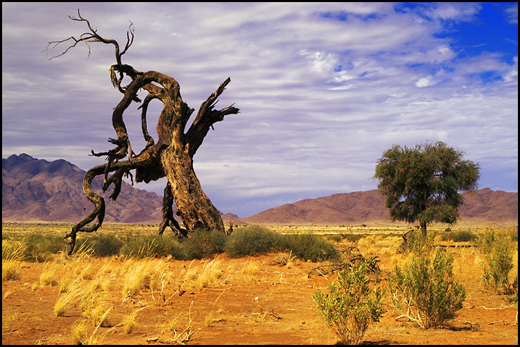 Am Rande der Namib