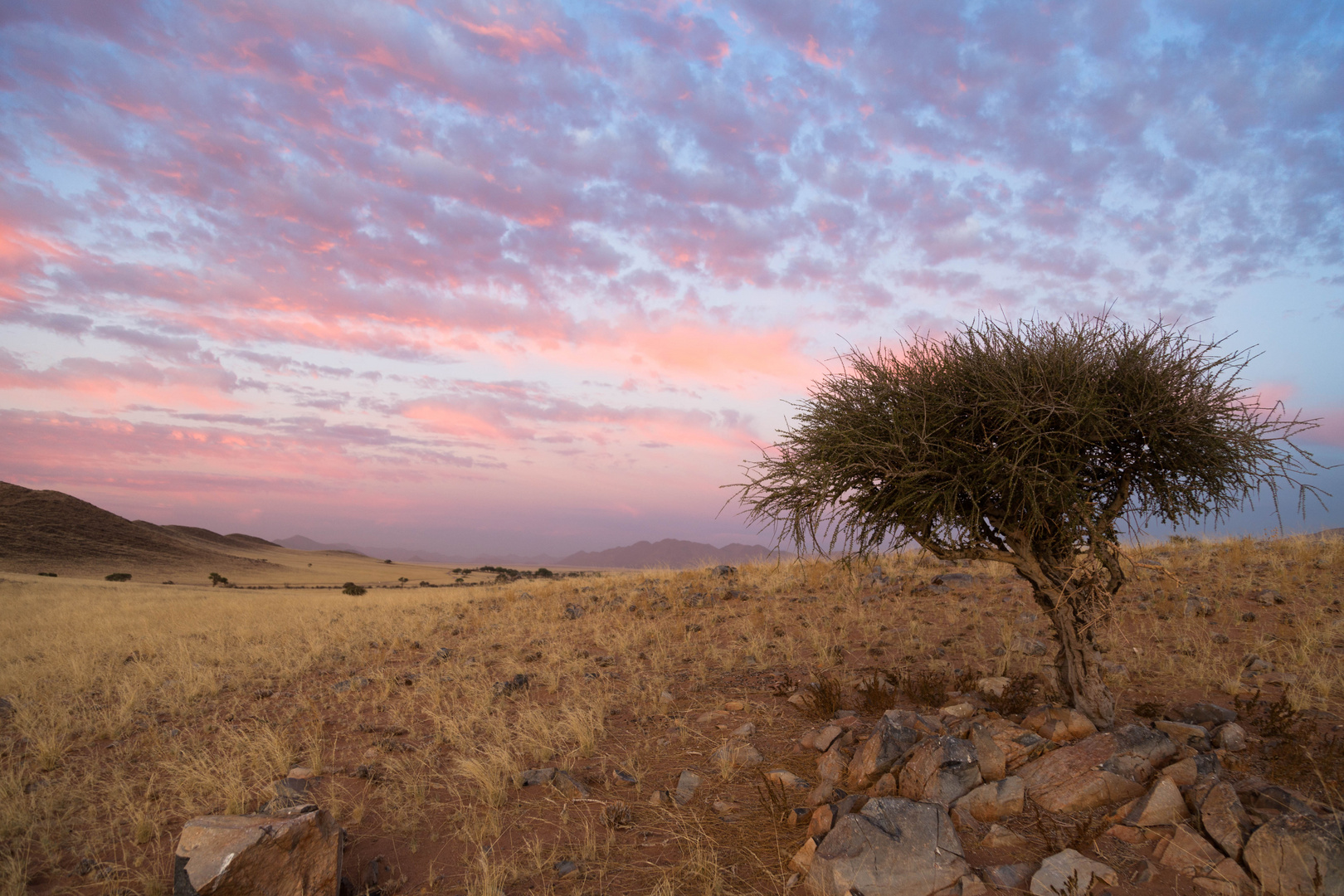 Am Rande der Namib