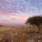 Am Rande der Namib