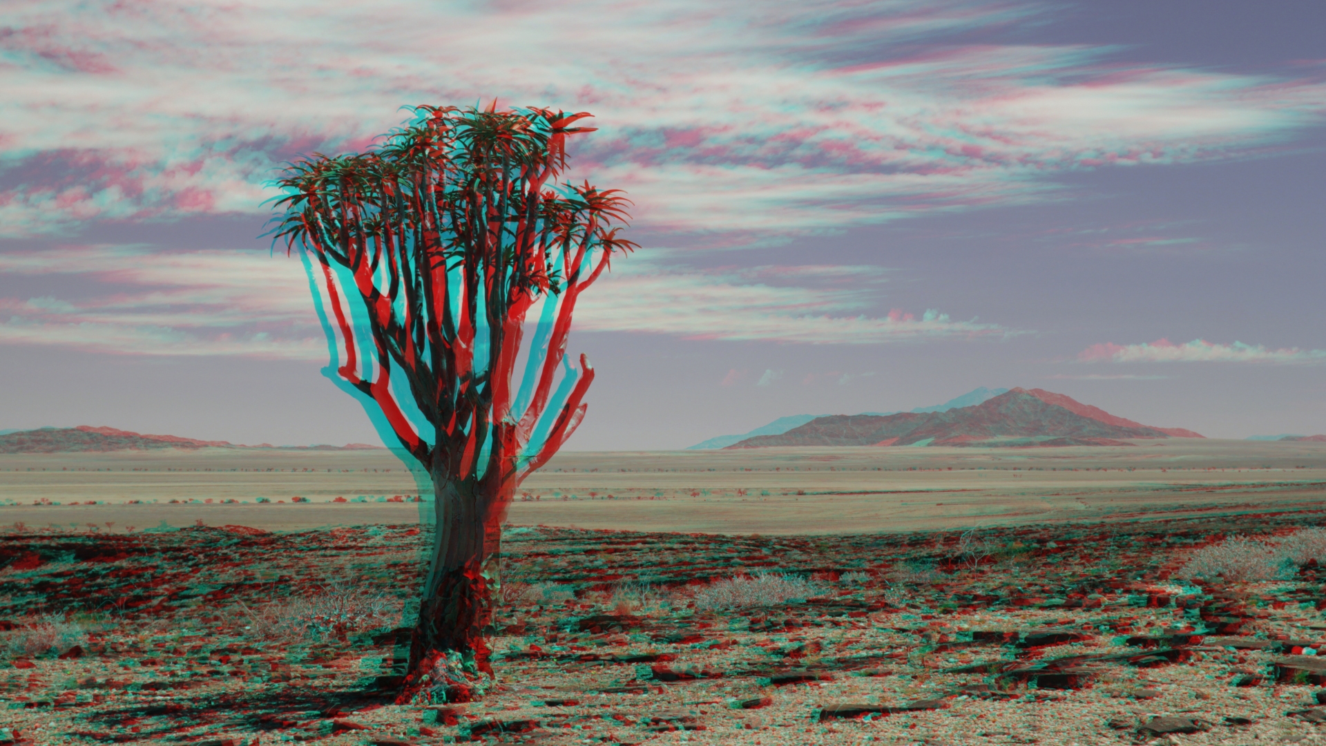 Am Rande der Namib Wüste + MPO
