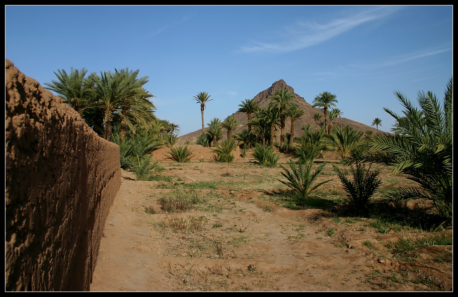 Am Rande der Palmerie..., Zagora, Marokko