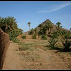 Am Rande der Palmerie..., Zagora, Marokko