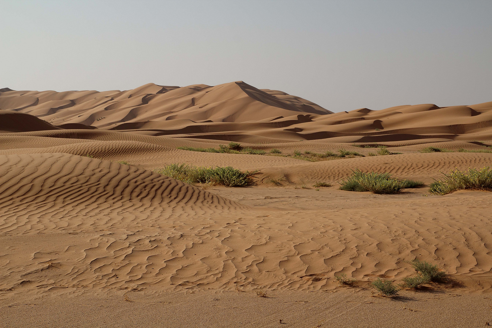 Am Rande der Rub al-Khali