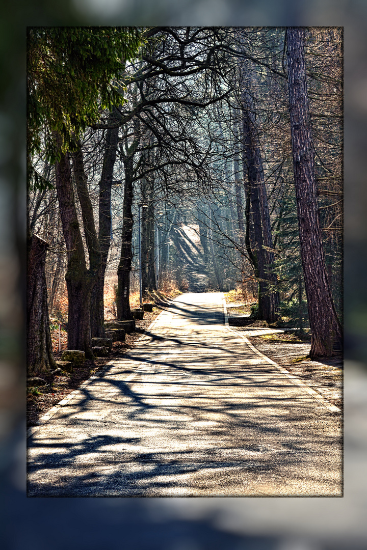 Am Rande der Stadt - der Eingang in den Wald