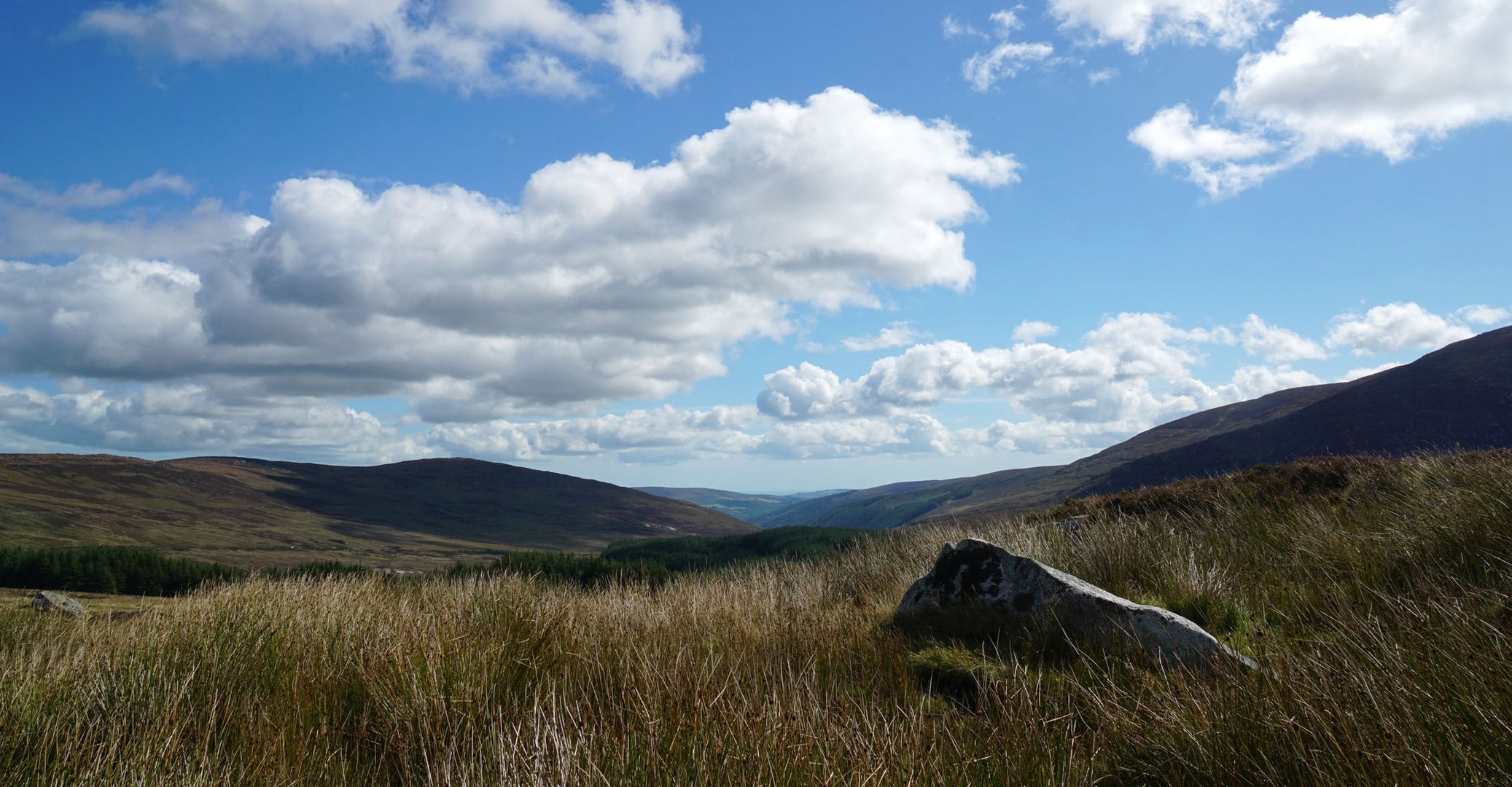 Am Rande der Wicklow Mountains