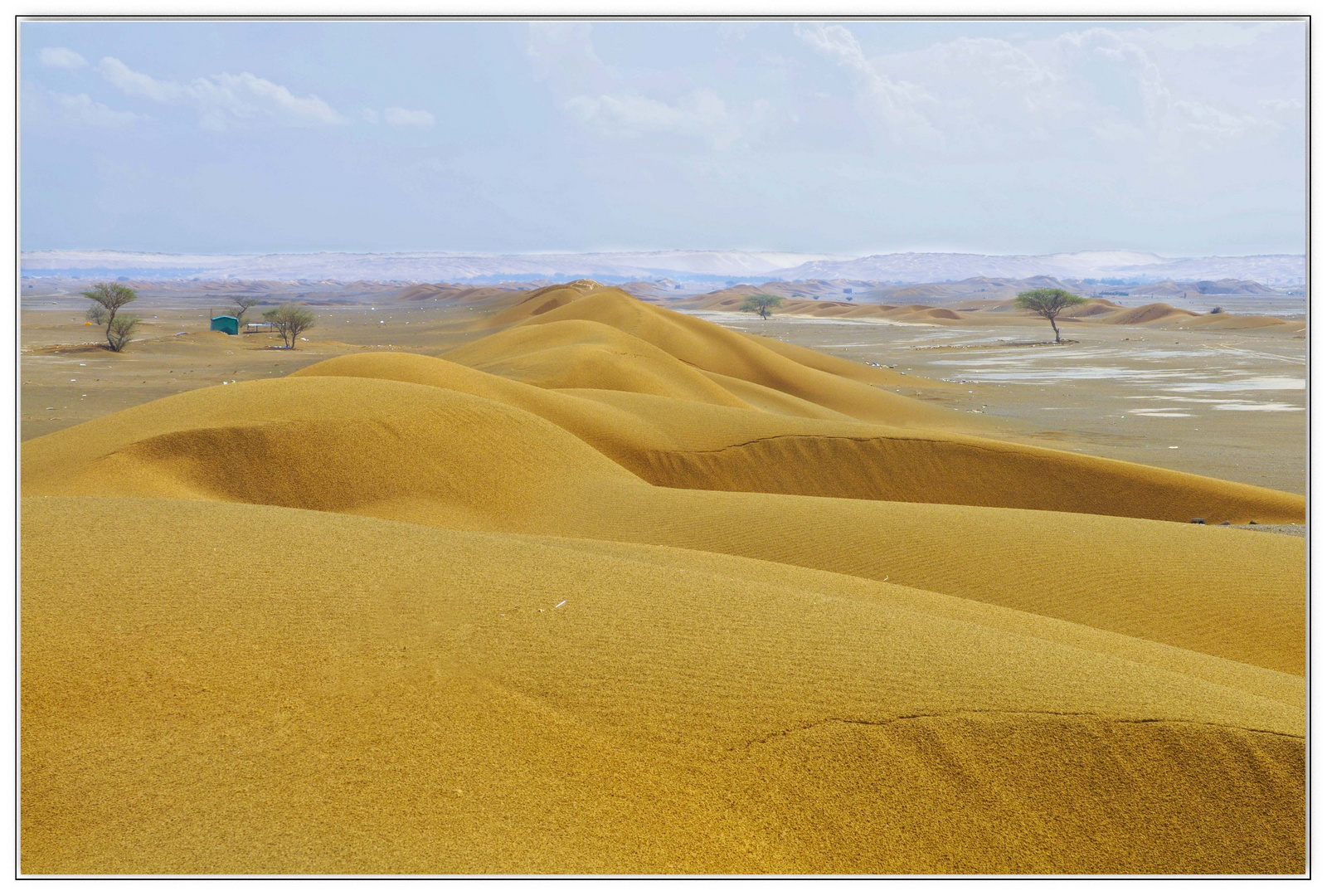 Am Rande der Wüste Wahiba