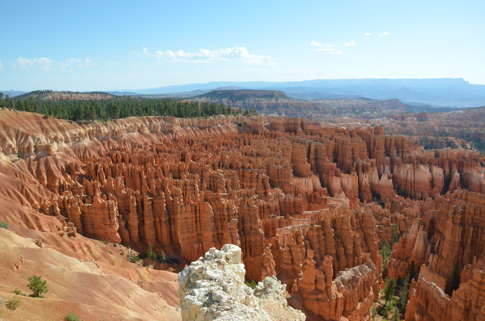 Am Rande des Bryce Canyon