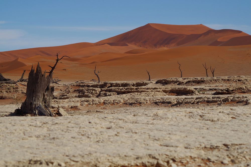 Am Rande des Dead Vlei