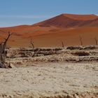 Am Rande des Dead Vlei