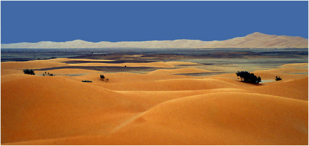 Am Rande des großen Sandmeers