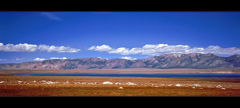 Am Rande des Mono Lake