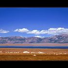 Am Rande des Mono Lake