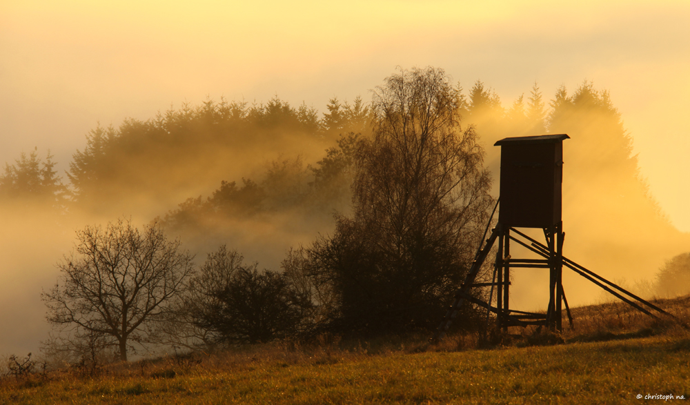 Am Rande des Nebels