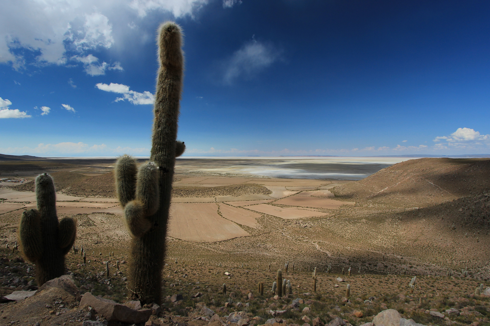 Am Rande des Salar de Uyuni