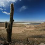 Am Rande des Salar de Uyuni