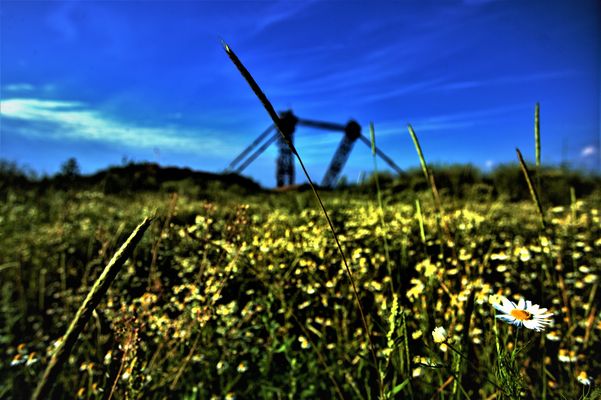 am Rande des Tagebaus ....im Indeland