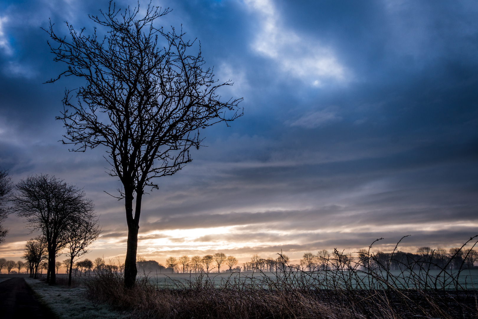 Am Rande des Weges